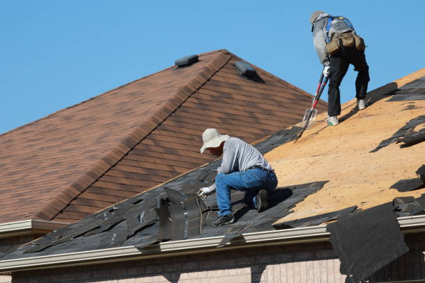 Best Asphalt Shingle Roofing  in Morton, PA